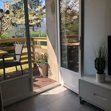 Appartement Studio Cosy Terrasse Plein Sud Proche Nausicaa