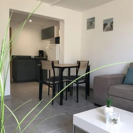 Studio Cosy Terrasse Plein Sud Proche Nausicaa